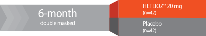 Graphic of Study 1 design (SET), a 6-month, double-masked trial with 42 patients on HETLIOZ (tasimelteon) 20 mg versus 42 patients on placebo