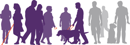 Graphic which shows that Non-24-Hour Sleep-Wake Disorder, or Non-24, is very common among patients who are totally blind. Approximately 130,000 people who are totally blind have no light perception (reference 3,4). Up to 95,000 people who are totally blind have Non-24