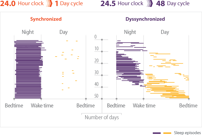 Raster plot chart comparing the sleep episodes of patients with synchronized versus dyssynchronized sleep-wake cycles