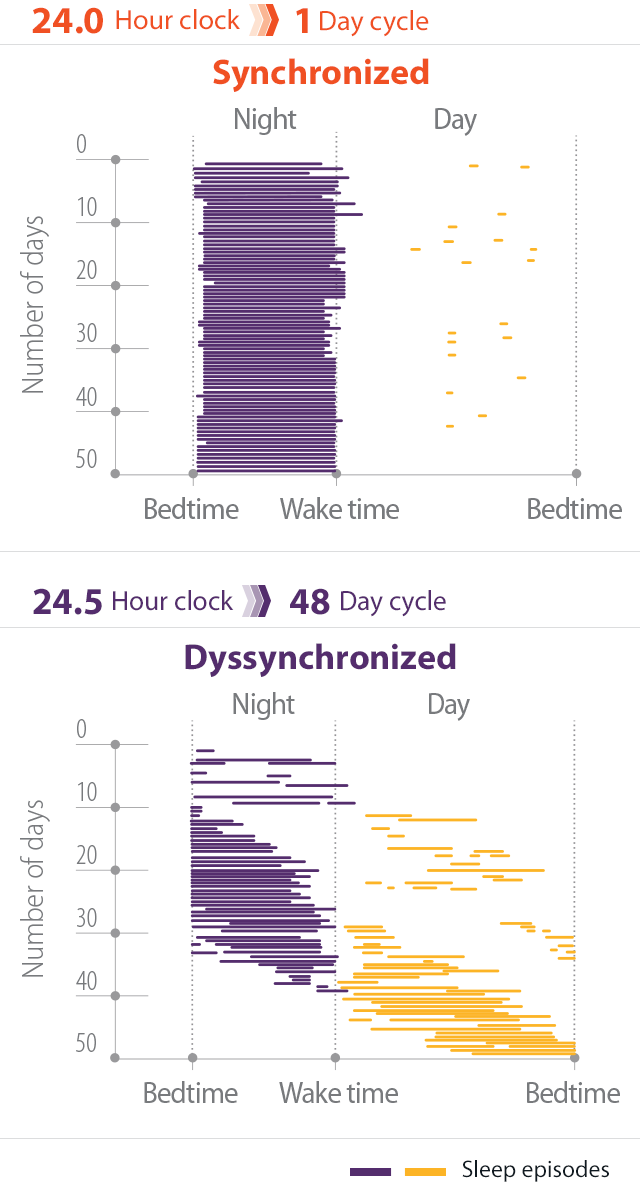 Raster plot chart comparing the sleep episodes of patients with synchronized versus dyssynchronized sleep-wake cycles